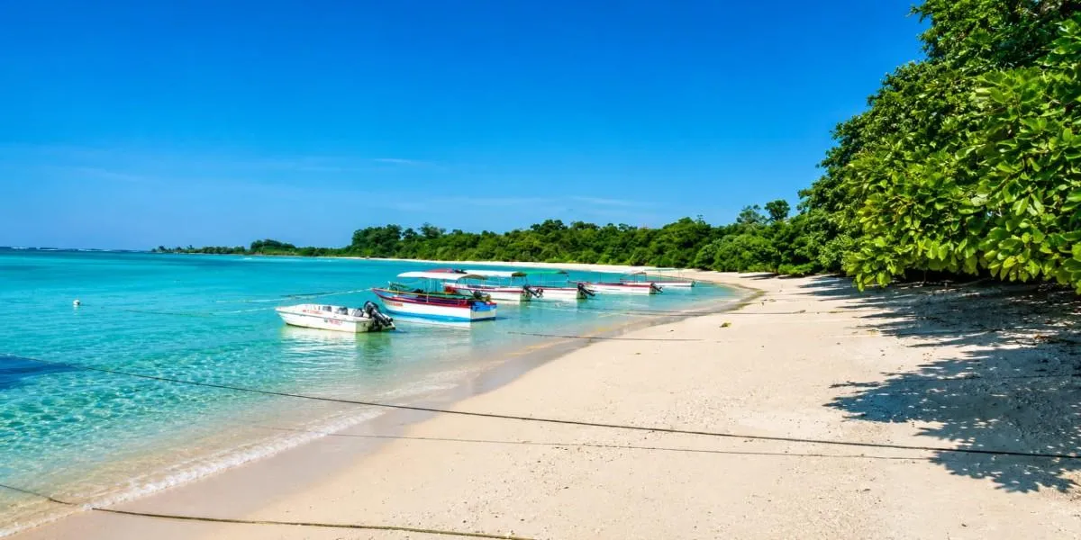 Moored boats sitting in clear shallow water off the beach