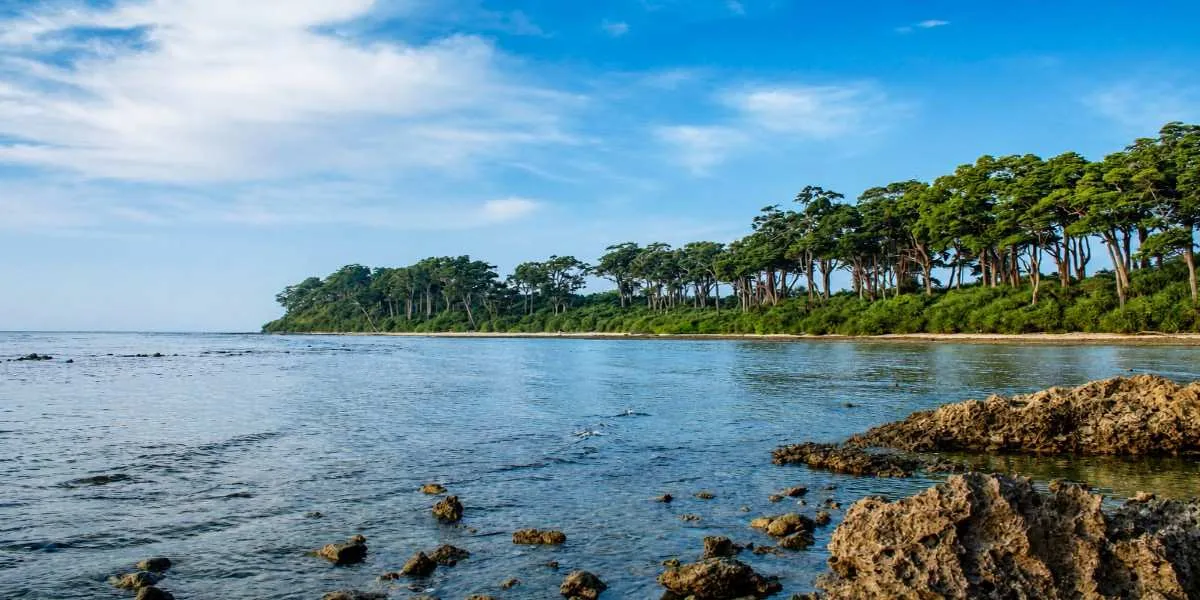 The rock shelf and casuarina line along Neil's western shore