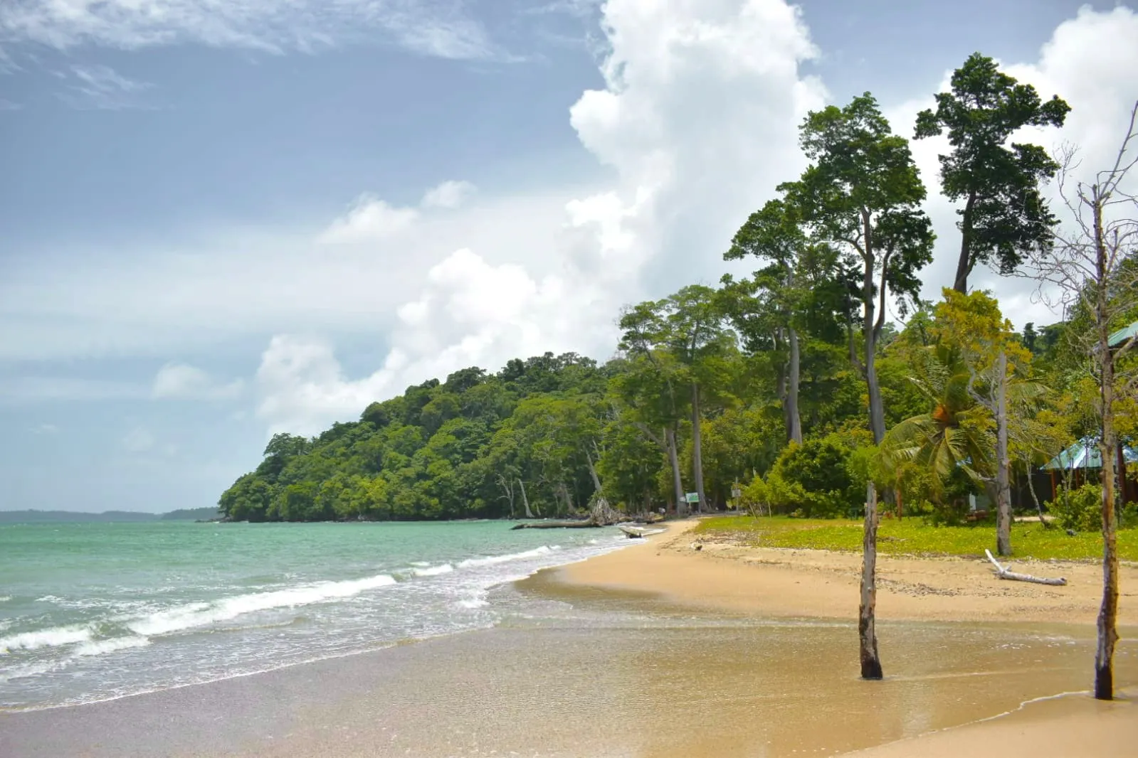 Elephant Beach