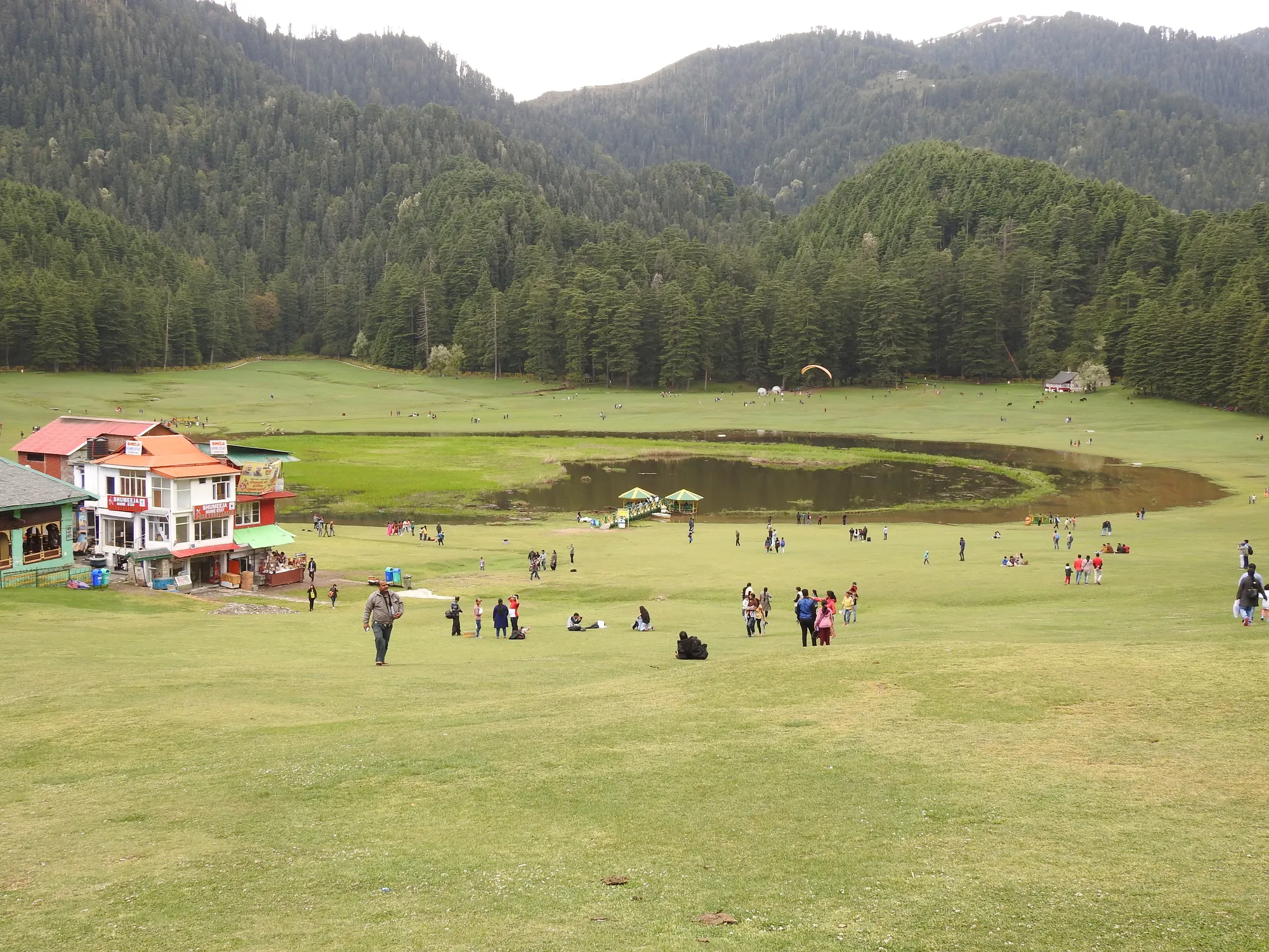 A wide grass meadow ringed by deodar forest below Himalayan hills
