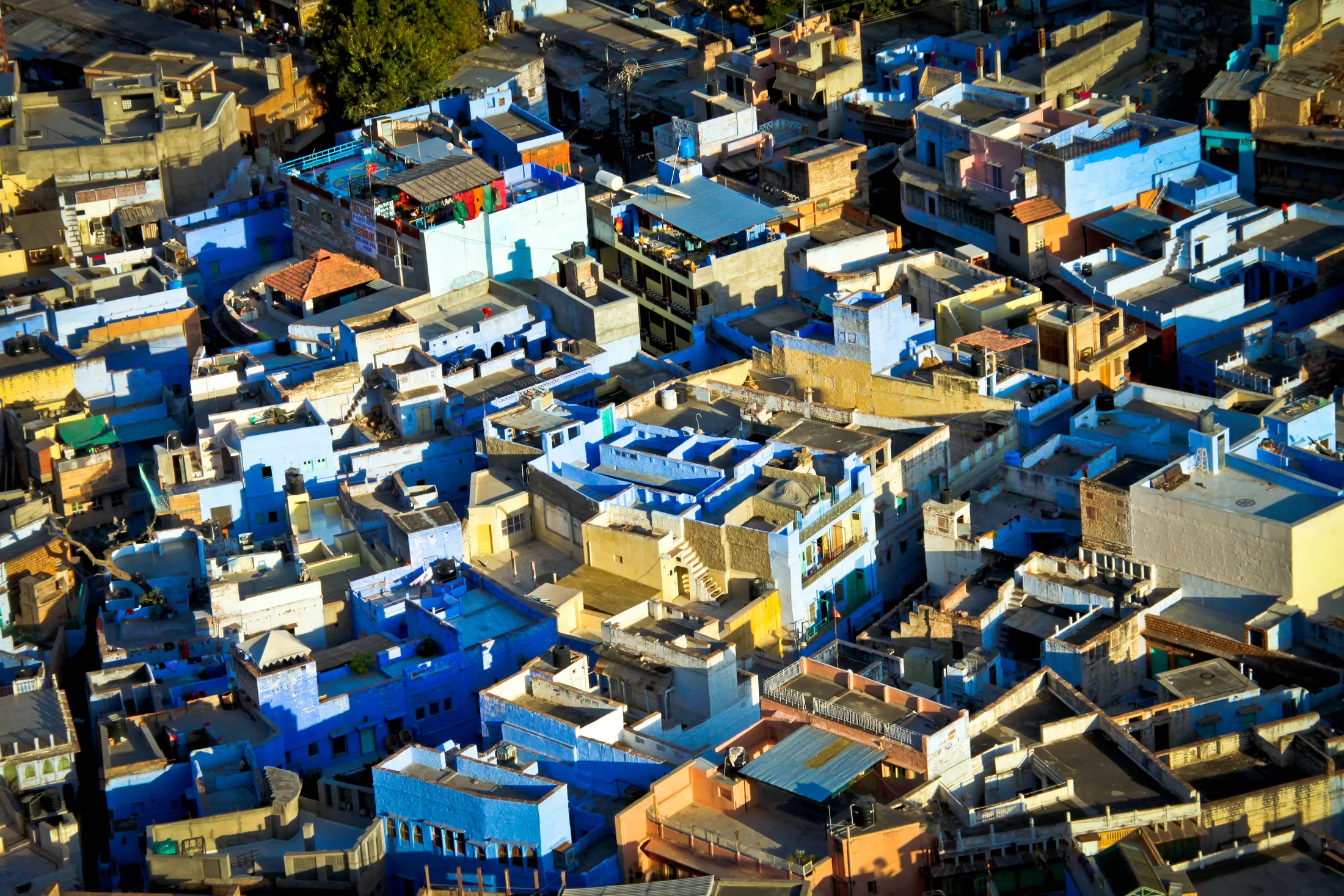 Densely packed indigo-painted rooftops seen from above
