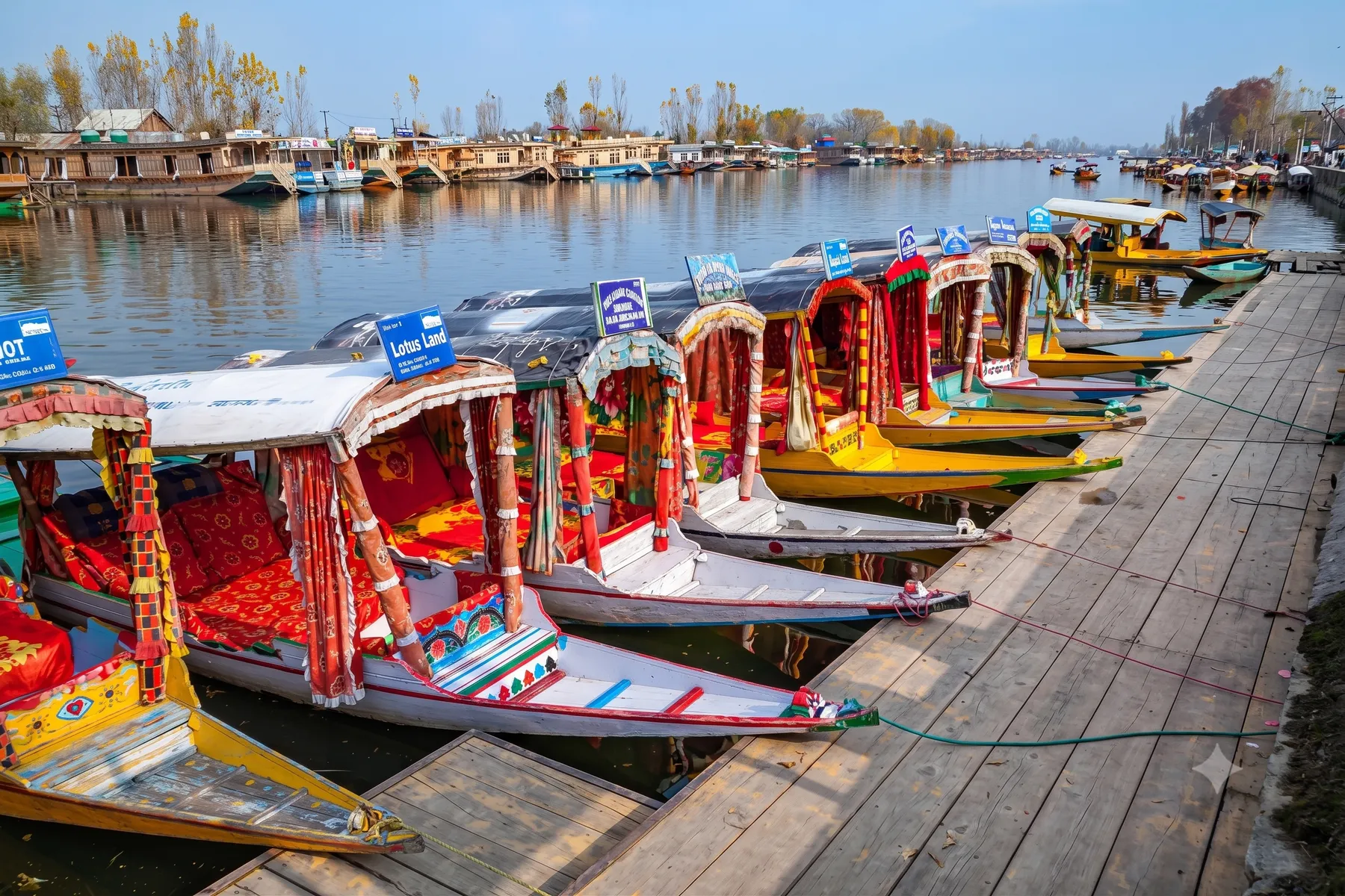 Shikaras drawn up at a Dal Lake ghat in autumn