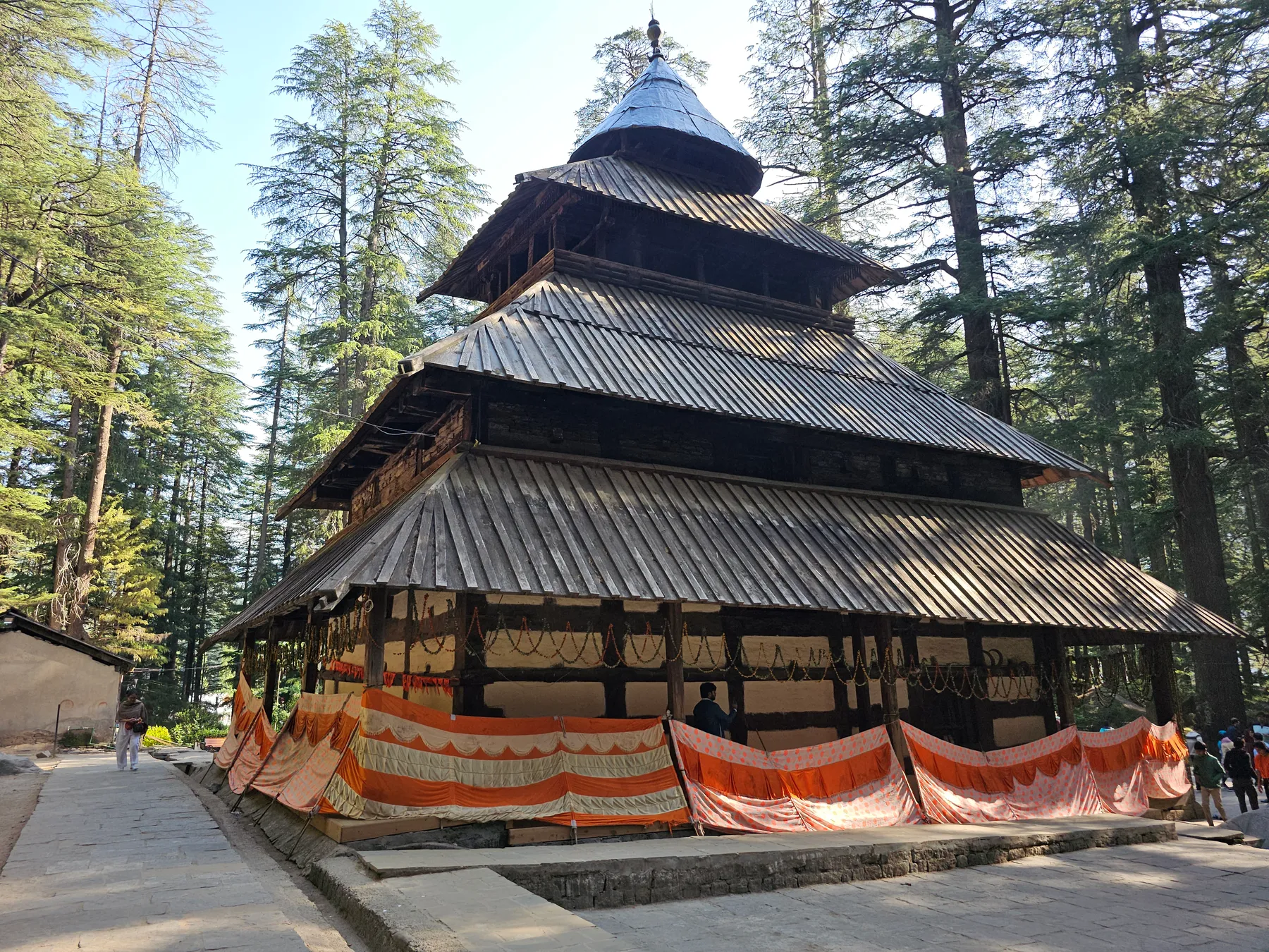 A tiered wooden pagoda temple among tall deodar trees