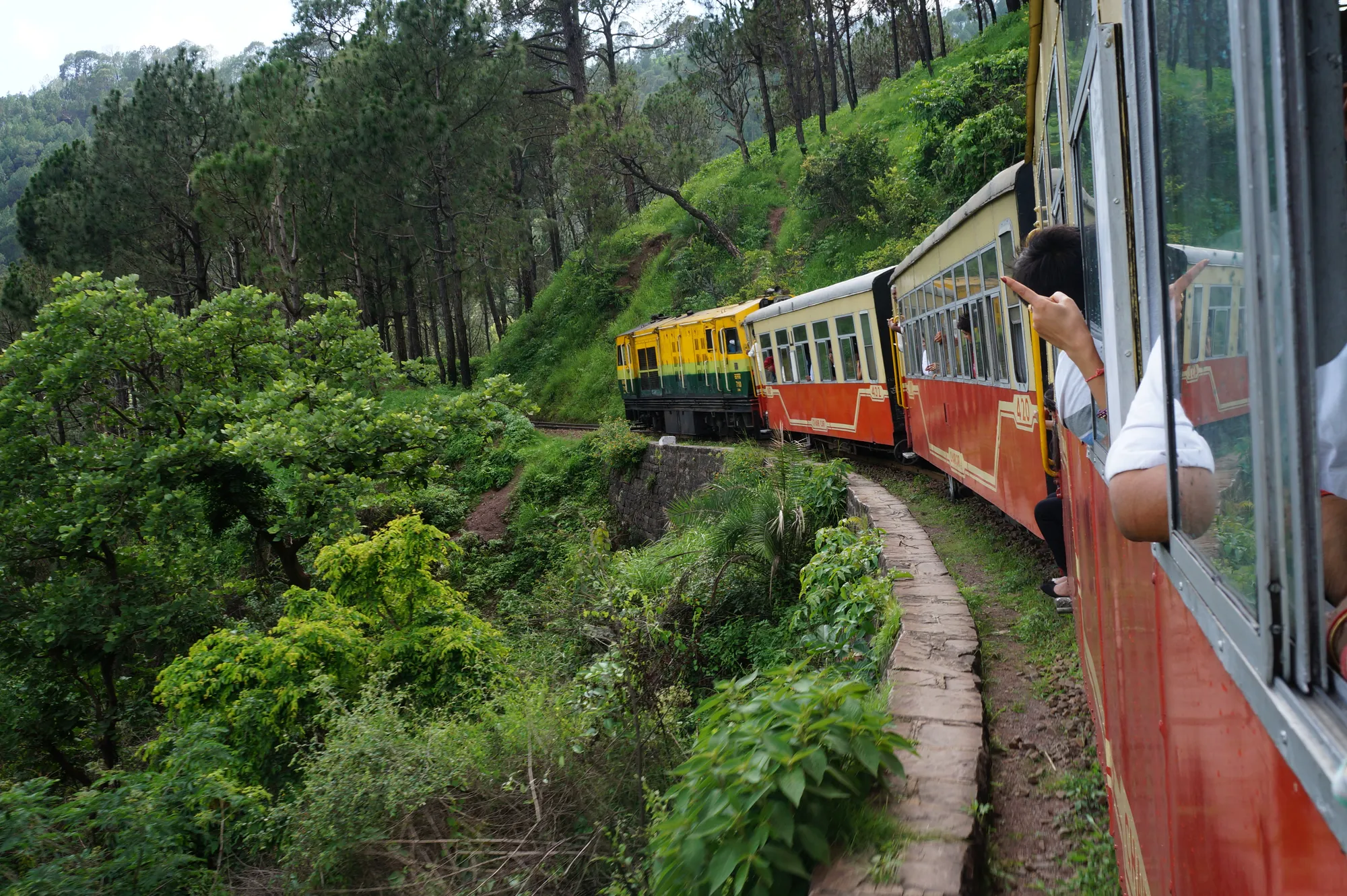 A narrow gauge train on a curve through forest